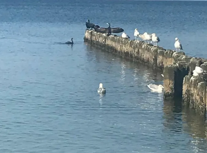 Dune A 004 Apartment *